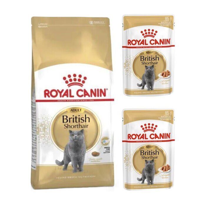 Biritish Shorthair Kedi Maması 2 Kg + 2 Pouch Adult Yaş Mama 85 Gr