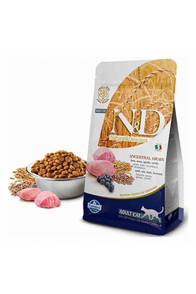 Master Otomatik Köpek Uzatma Tasması TR-Large-Yeşil-50 Kg 5 Mt