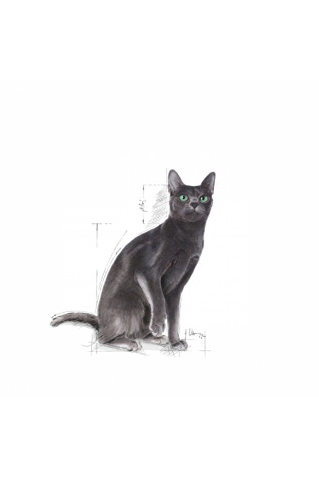 Sterilised 37 Kısırlaştırılmış Yetişkin Kedi Maması 4 Kg