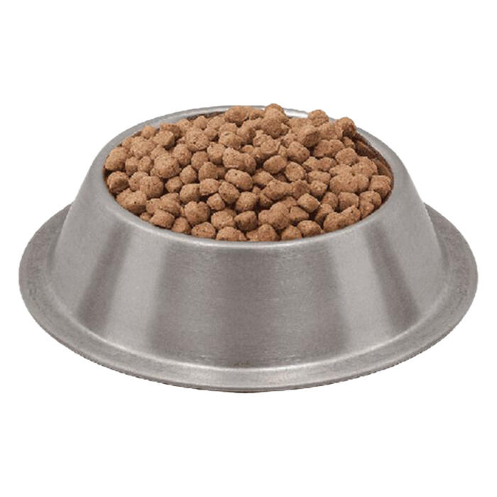 Açık Nutri Feline Adult Kısırlaştırılmış Glütensiz Tahılsız Somon ve Kümes Hayvanlı Kedi Maması