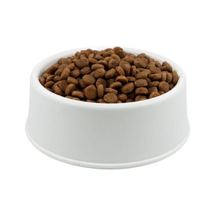 Açık Nutri Feline Kitten Somonlu Yavru Kedi Maması 1 kg