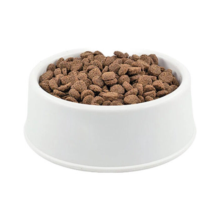 Royal Canin Büyük Irk Açık Yetişkin Köpek Maması 1 Kg