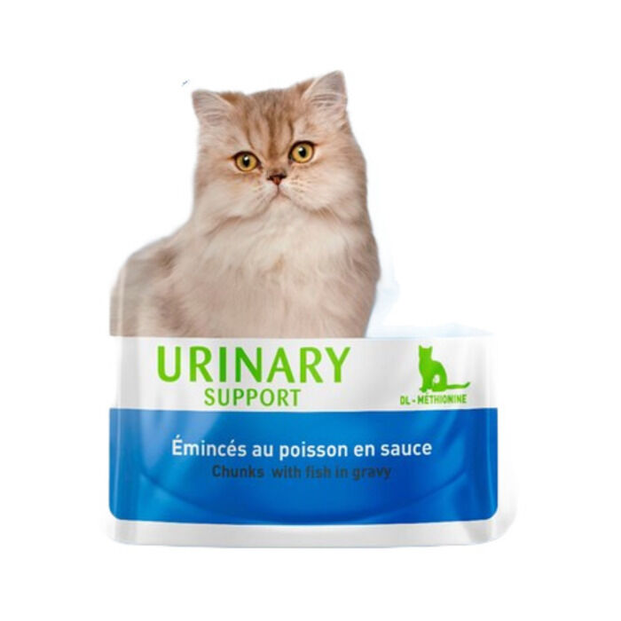 Care Urinary Support Kedi Yaş Maması 85 Gr